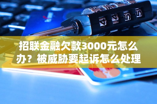 招联金融欠款3000元怎么办？被威胁要起诉怎么处理？