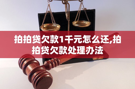 拍拍贷欠款1千元怎么还,拍拍贷欠款处理办法