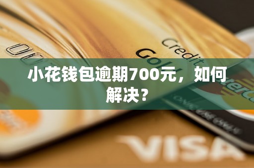 小花钱包逾期700元，如何解决？