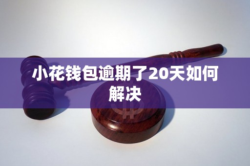 小花钱包逾期了20天如何解决