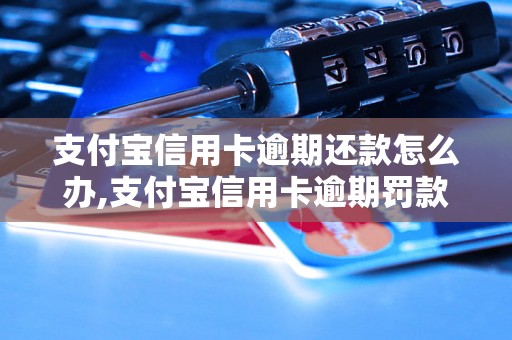 支付宝信用卡逾期还款怎么办,支付宝信用卡逾期罚款标准