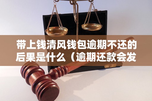 带上钱清风钱包逾期不还的后果是什么（逾期还款会发生什么）