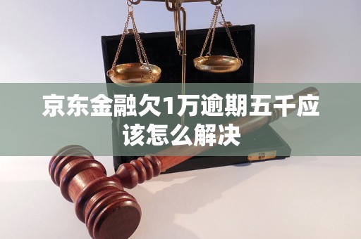 京东金融欠1万逾期五千应该怎么解决