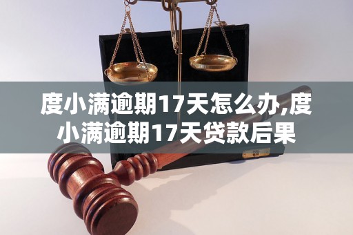 度小满逾期17天怎么办,度小满逾期17天贷款后果