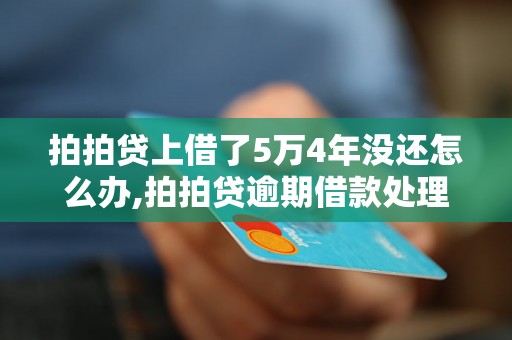 拍拍贷上借了5万4年没还怎么办,拍拍贷逾期借款处理方法