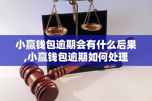 小赢钱包逾期会有什么后果,小赢钱包逾期如何处理