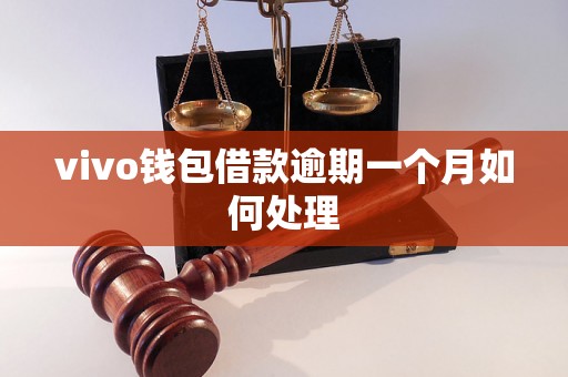 vivo钱包借款逾期一个月如何处理