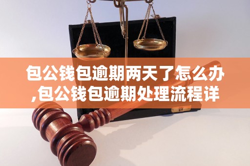 包公钱包逾期两天了怎么办,包公钱包逾期处理流程详解