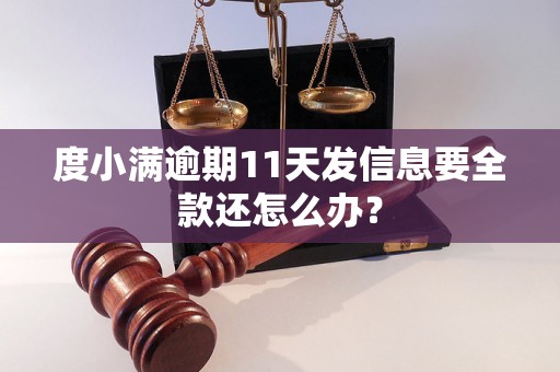 度小满逾期11天发信息要全款还怎么办？