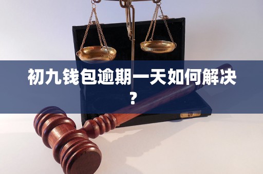 初九钱包逾期一天如何解决？