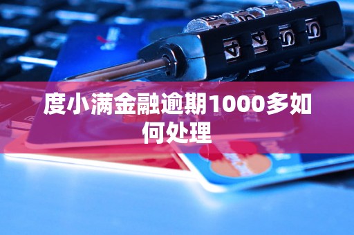 度小满金融逾期1000多如何处理