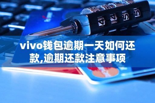 vivo钱包逾期一天如何还款,逾期还款注意事项