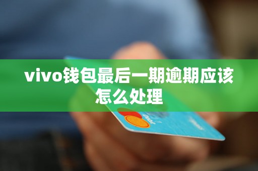 vivo钱包最后一期逾期应该怎么处理