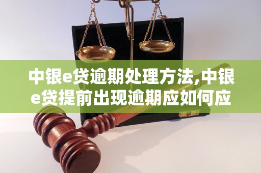 中银e贷逾期处理方法,中银e贷提前出现逾期应如何应对