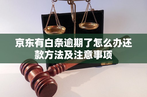 京东有白条逾期了怎么办还款方法及注意事项