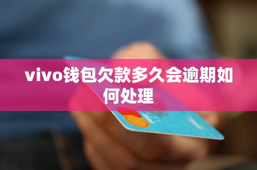 vivo钱包欠款多久会逾期如何处理