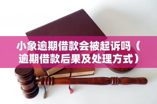 小象逾期借款会被起诉吗（逾期借款后果及处理方式）