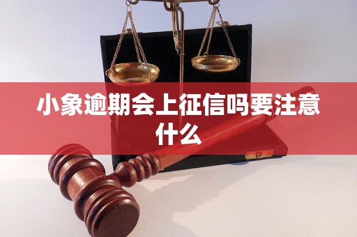 小象逾期会上征信吗要注意什么