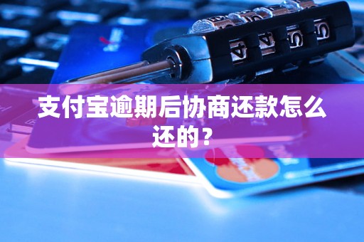 支付宝逾期后协商还款怎么还的？