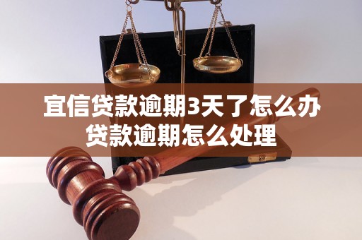 宜信贷款逾期3天了怎么办贷款逾期怎么处理