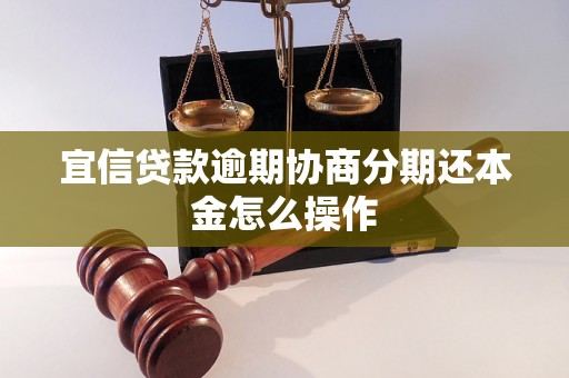 宜信贷款逾期协商分期还本金怎么操作