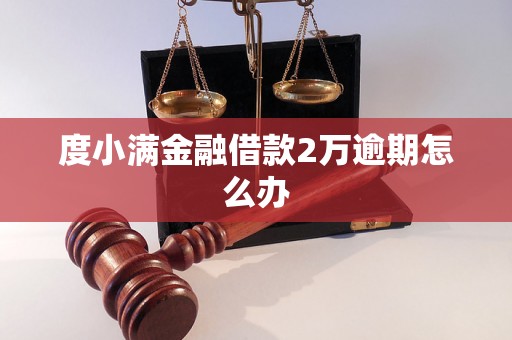 度小满金融借款2万逾期怎么办