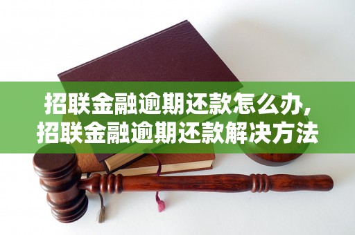 招联金融逾期还款怎么办,招联金融逾期还款解决方法