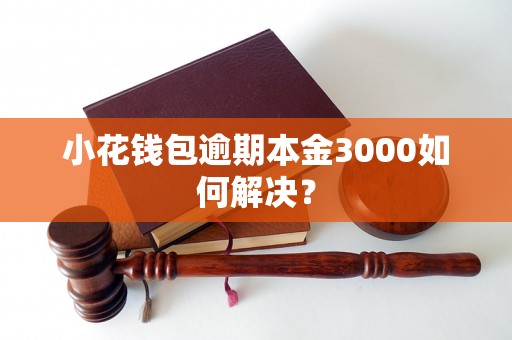 小花钱包逾期本金3000如何解决？