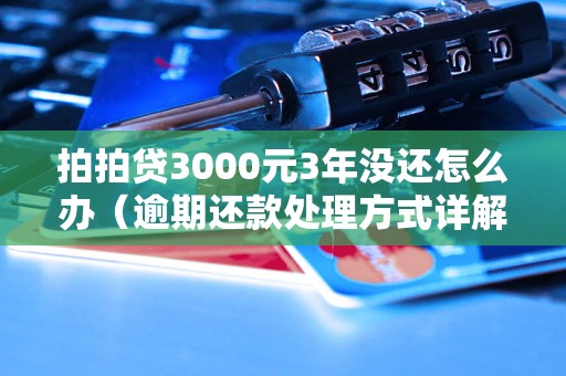 拍拍贷3000元3年没还怎么办（逾期还款处理方式详解）