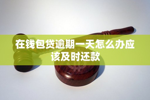 在钱包贷逾期一天怎么办应该及时还款