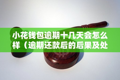 小花钱包逾期十几天会怎么样（逾期还款后的后果及处理方法）