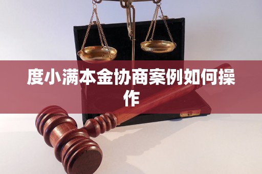 度小满本金协商案例如何操作