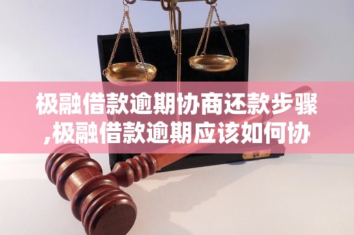 极融借款逾期协商还款步骤,极融借款逾期应该如何协商还款