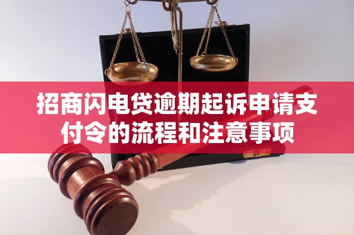 招商闪电贷逾期起诉申请支付令的流程和注意事项