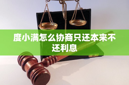 度小满怎么协商只还本来不还利息