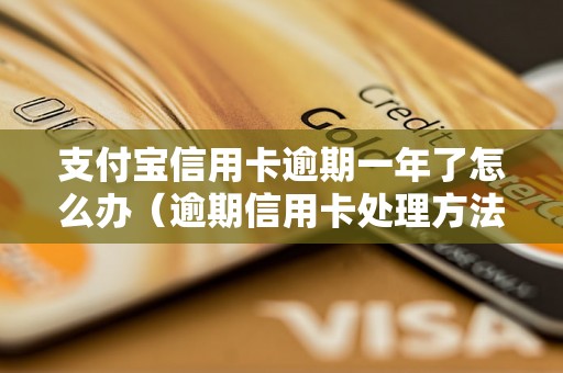 支付宝信用卡逾期一年了怎么办（逾期信用卡处理方法详解）