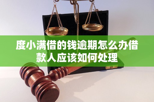 度小满借的钱逾期怎么办借款人应该如何处理