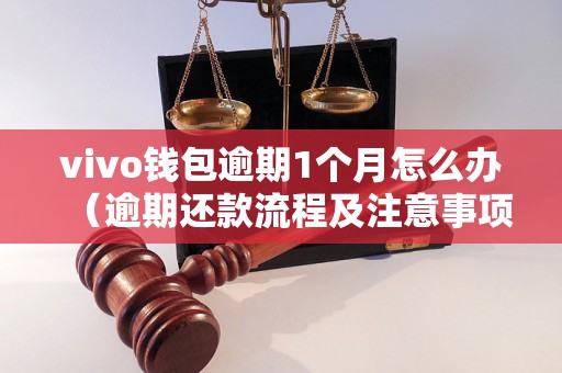 vivo钱包逾期1个月怎么办（逾期还款流程及注意事项）