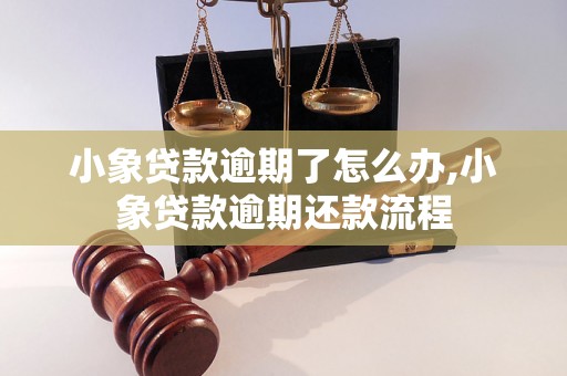 小象贷款逾期了怎么办,小象贷款逾期还款流程