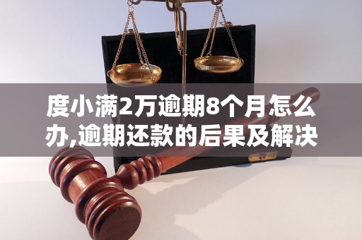 度小满2万逾期8个月怎么办,逾期还款的后果及解决方法