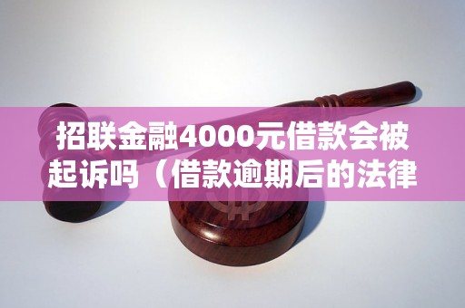 招联金融4000元借款会被起诉吗（借款逾期后的法律后果）