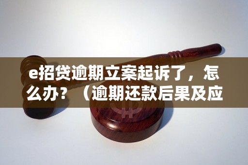 e招贷逾期立案起诉了，怎么办？（逾期还款后果及应对措施）