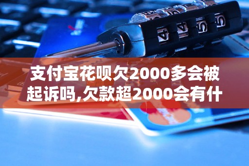 支付宝花呗欠2000多会被起诉吗,欠款超2000会有什么后果