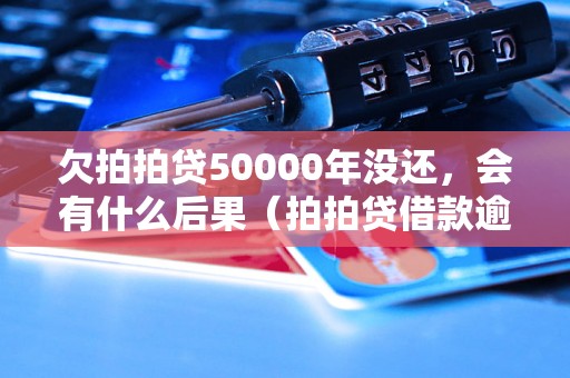 欠拍拍贷50000年没还，会有什么后果（拍拍贷借款逾期处理方式）