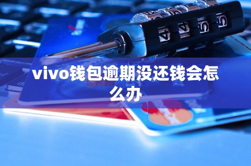 vivo钱包逾期没还钱会怎么办