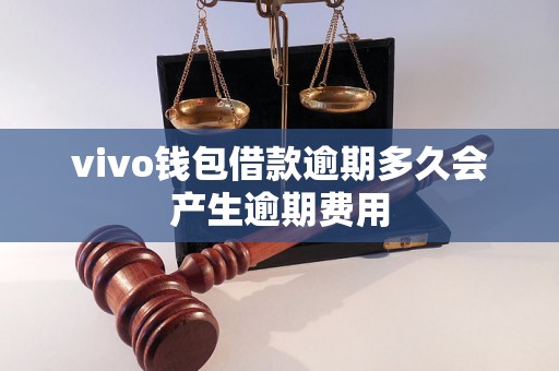 vivo钱包借款逾期多久会产生逾期费用