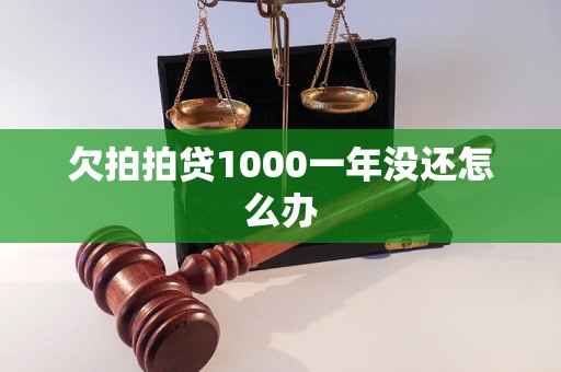 欠拍拍贷1000一年没还怎么办