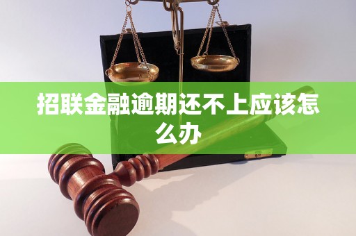 招联金融逾期还不上应该怎么办