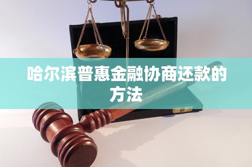 哈尔滨普惠金融协商还款的方法