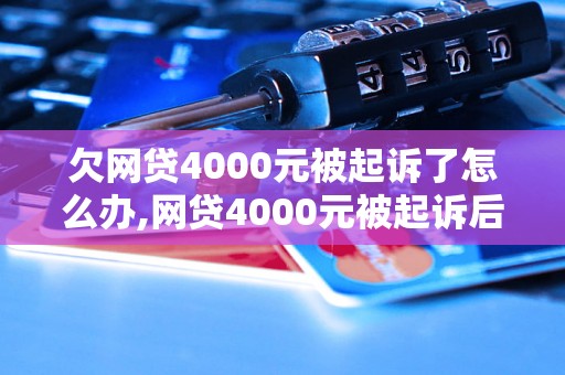 欠网贷4000元被起诉了怎么办,网贷4000元被起诉后的法律风险分析